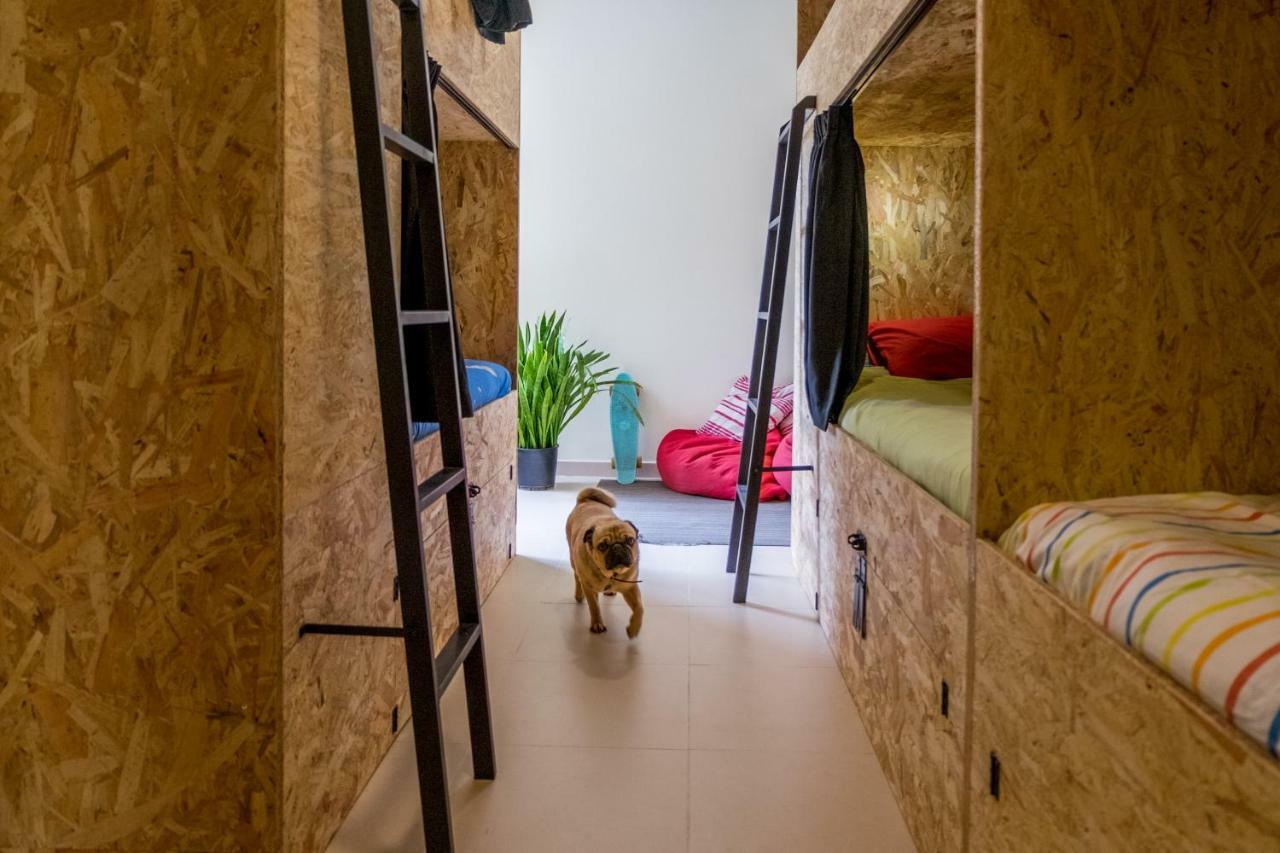 Algarve Surf Hostel - لاغوس المظهر الخارجي الصورة